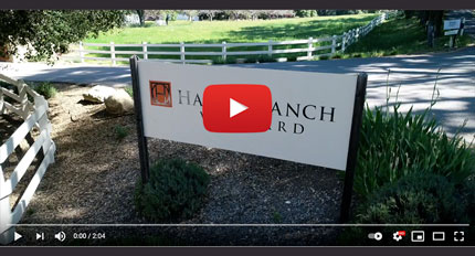 Halter Ranch Winery Contruction Video - Paso Robles, CA - Wine Cave Contruction Company - Winery Construction - General Contractor - JW Design & Construction, San Luis Obispo County, CA